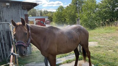 Każdy obszar naszego życia, zawodowy czy prywatny, wymaga posiadania celu. Rozmowa z Alicją, Software Engineer w AUCTANE